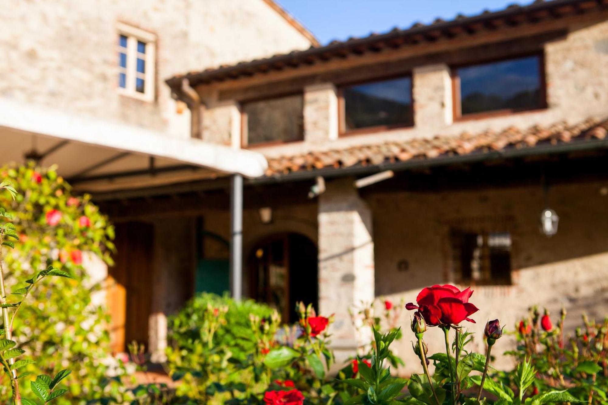 Bernardone Otel Camaiore Dış mekan fotoğraf